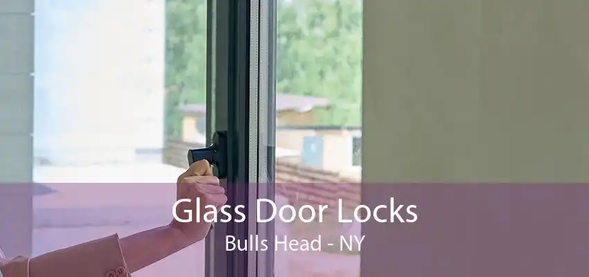 Glass Door Locks Bulls Head - NY