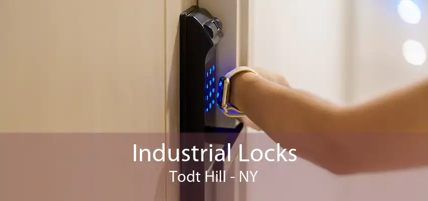 Industrial Locks Todt Hill - NY