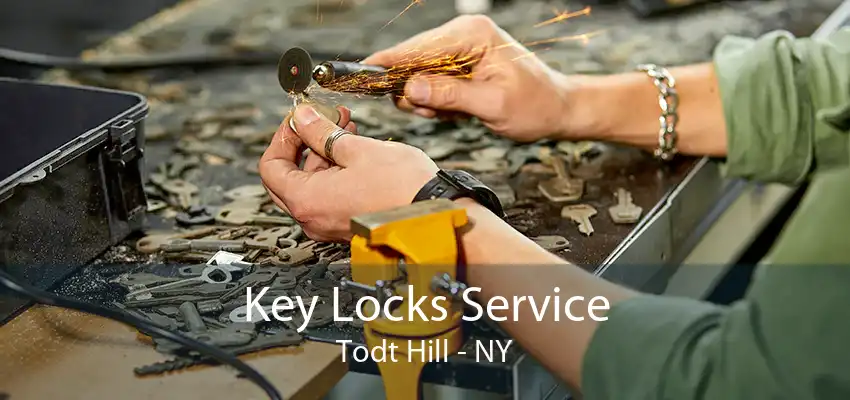 Key Locks Service Todt Hill - NY