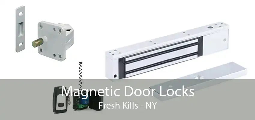 Magnetic Door Locks Fresh Kills - NY