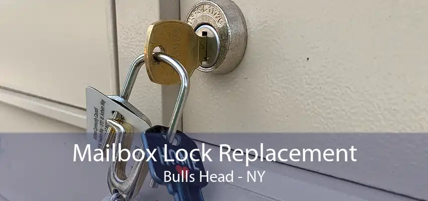 Mailbox Lock Replacement Bulls Head - NY