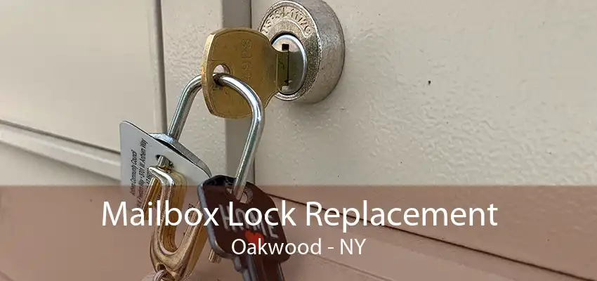 Mailbox Lock Replacement Oakwood - NY