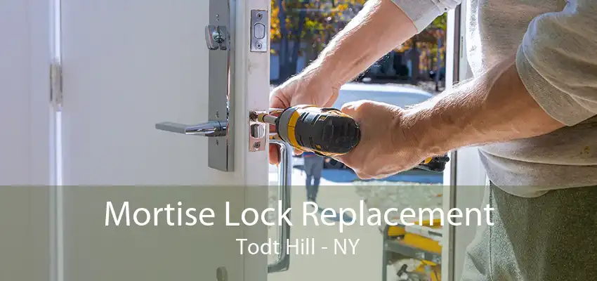 Mortise Lock Replacement Todt Hill - NY