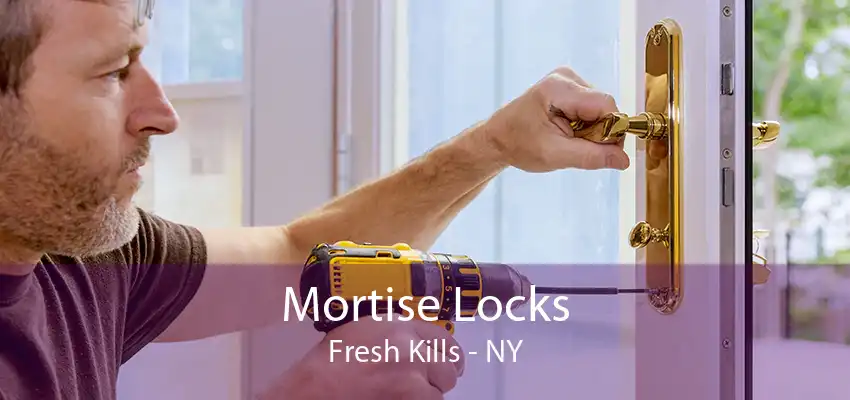 Mortise Locks Fresh Kills - NY