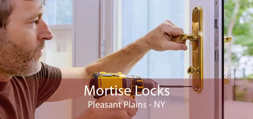 Mortise Locks Pleasant Plains - NY