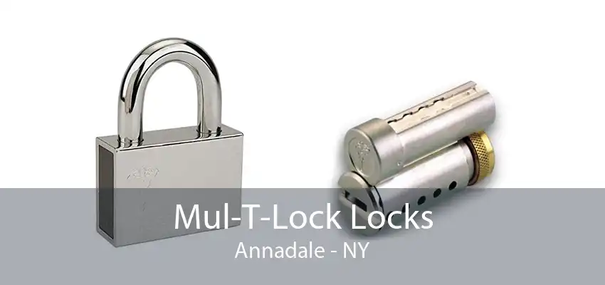 Mul-T-Lock Locks Annadale - NY