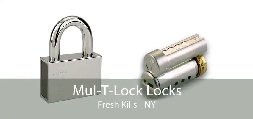 Mul-T-Lock Locks Fresh Kills - NY