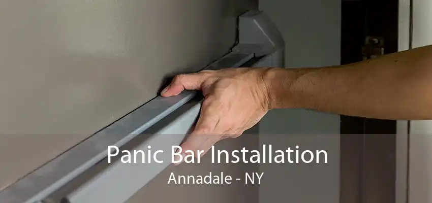 Panic Bar Installation Annadale - NY