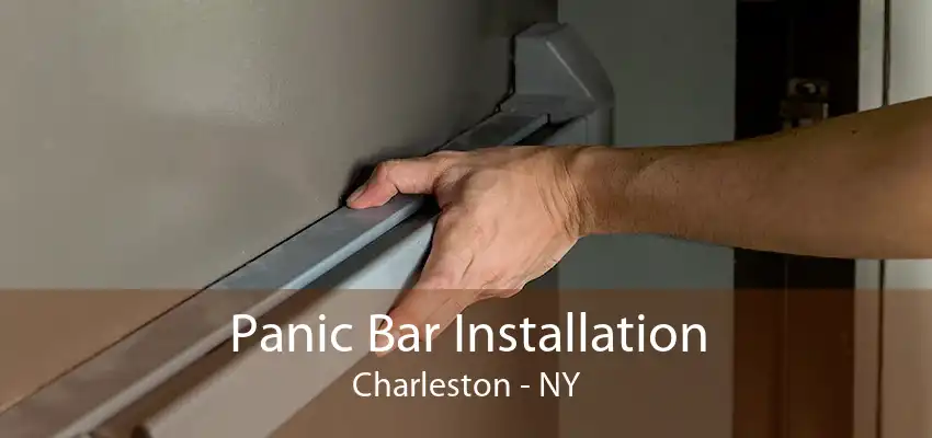 Panic Bar Installation Charleston - NY