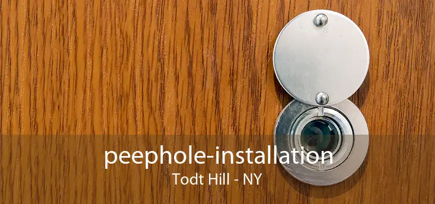 peephole-installation Todt Hill - NY