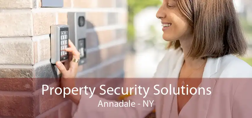 Property Security Solutions Annadale - NY