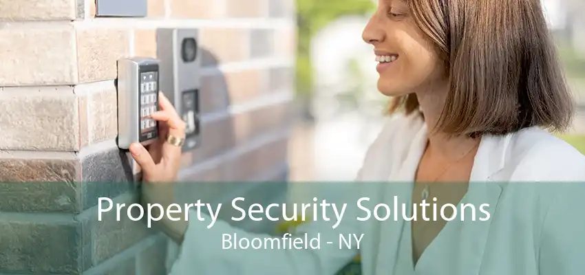 Property Security Solutions Bloomfield - NY