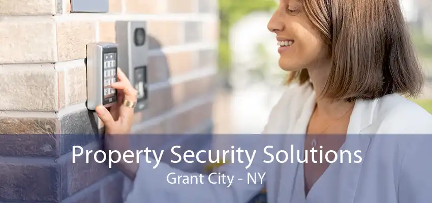 Property Security Solutions Grant City - NY