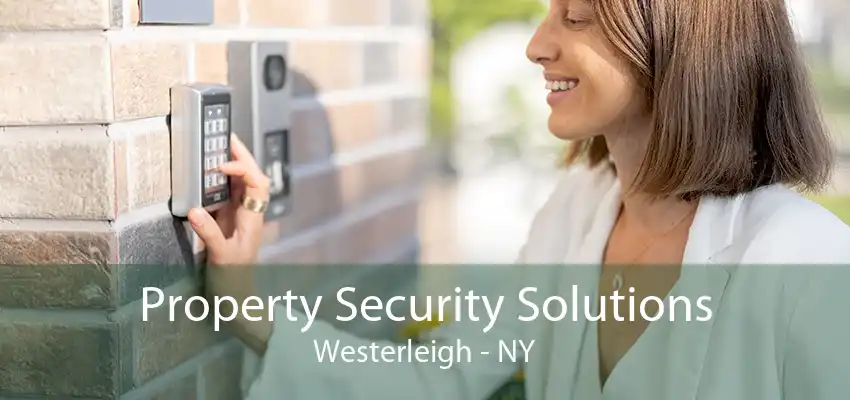 Property Security Solutions Westerleigh - NY