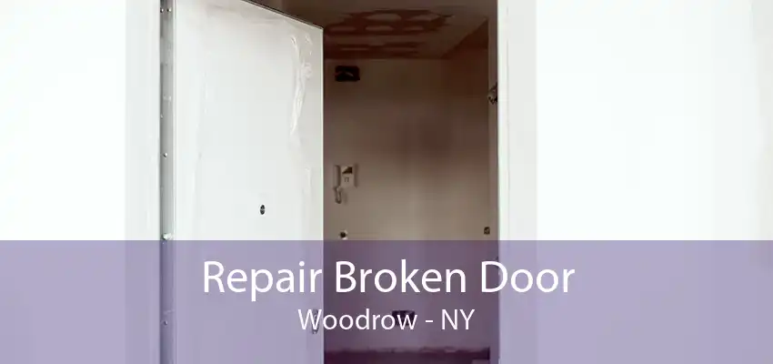 Repair Broken Door Woodrow - NY