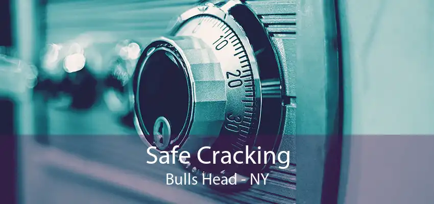 Safe Cracking Bulls Head - NY