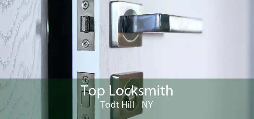 Top Locksmith Todt Hill - NY