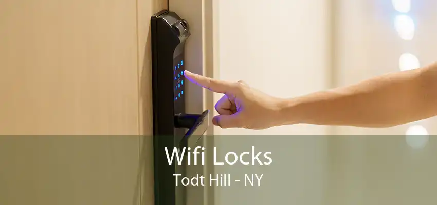 Wifi Locks Todt Hill - NY