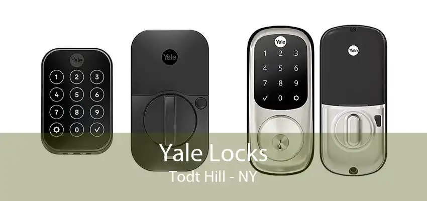 Yale Locks Todt Hill - NY